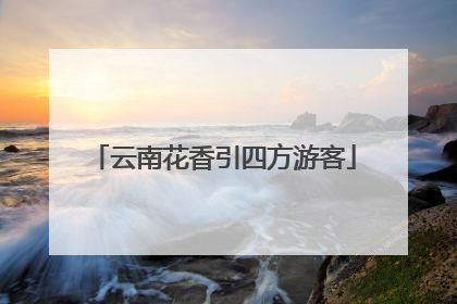云南花香引四方游客