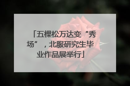 五棵松万达变“秀场”，北服研究生毕业作品展举行