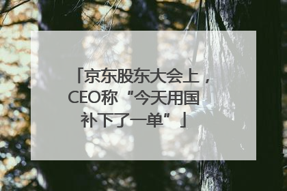 京东股东大会上，CEO称“今天用国补下了一单”