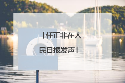 任正非在人民日报发声
