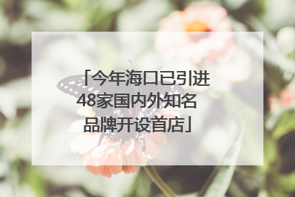 今年海口已引进48家国内外知名品牌开设首店