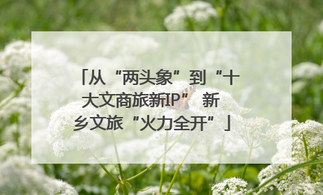 从“两头象”到“十大文商旅新IP” 新乡文旅“火力全开”