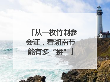 从一枚竹制参会证，看湖南节能有多“拼”