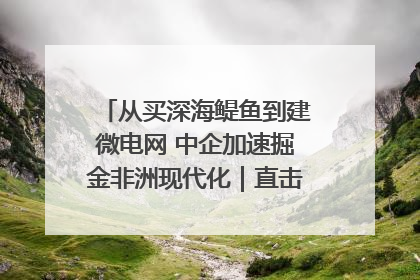 从买深海鳀鱼到建微电网 中企加速掘金非洲现代化｜直击中非经贸博览会