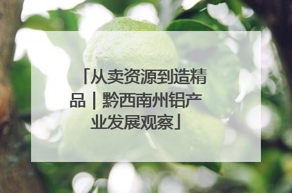 从卖资源到造精品｜黔西南州铝产业发展观察