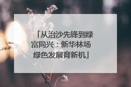 从治沙先锋到绿富同兴：新华林场绿色发展育新机