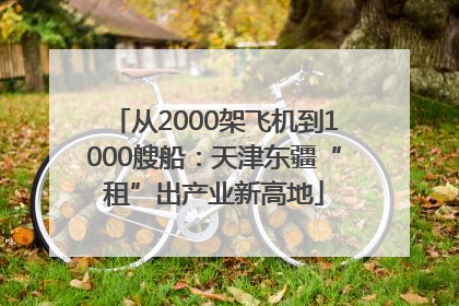 从2000架飞机到1000艘船：天津东疆“租”出产业新高地