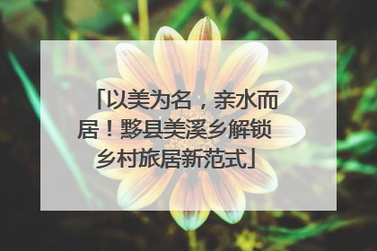 以美为名，亲水而居！黟县美溪乡解锁乡村旅居新范式