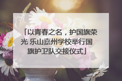 以青春之名，护国旗荣光 乐山嘉州学校举行国旗护卫队交接仪式