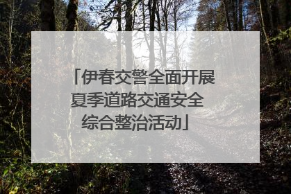 伊春交警全面开展 夏季道路交通安全综合整治活动