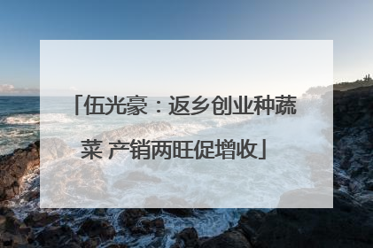 伍光豪：返乡创业种蔬菜 产销两旺促增收