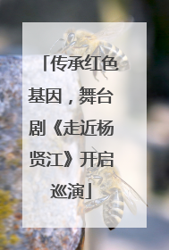 传承红色基因，舞台剧《走近杨贤江》开启巡演