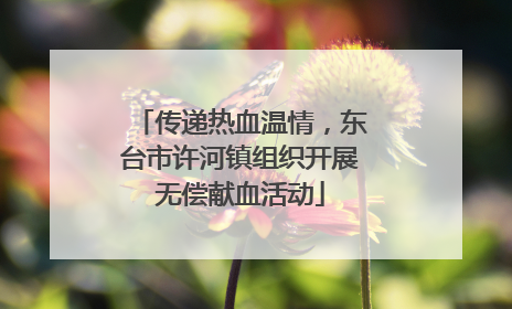 传递热血温情，东台市许河镇组织开展无偿献血活动