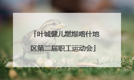 叶城健儿燃爆喀什地区第二届职工运动会