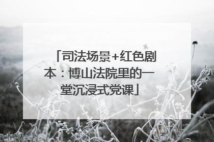 司法场景+红色剧本：博山法院里的一堂沉浸式党课