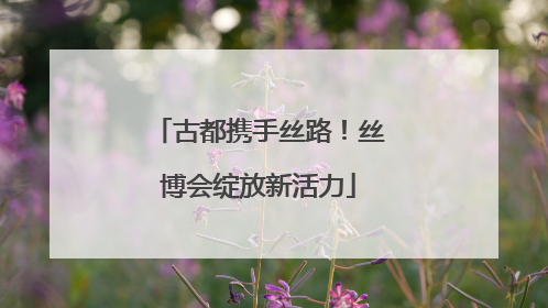 古都携手丝路！丝博会绽放新活力
