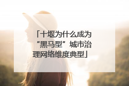 十堰为什么成为“黑马型”城市治理网络维度典型