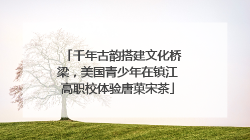 千年古韵搭建文化桥梁，美国青少年在镇江高职校体验唐菓宋茶