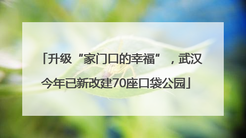 升级“家门口的幸福”，武汉今年已新改建70座口袋公园