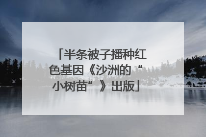 半条被子播种红色基因《沙洲的“小树苗”》出版