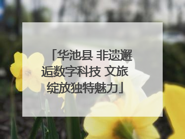 华池县 非遗邂逅数字科技 文旅绽放独特魅力