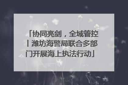 协同亮剑，全域管控丨潍坊海警局联合多部门开展海上执法行动