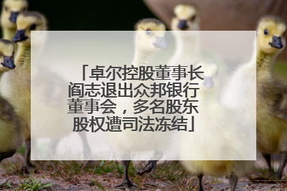 卓尔控股董事长阎志退出众邦银行董事会，多名股东股权遭司法冻结