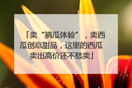卖“摘瓜体验”，卖西瓜创意甜品，这里的西瓜卖出高价还不愁卖