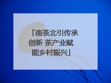 南茶北引传承创新 茶产业赋能乡村振兴