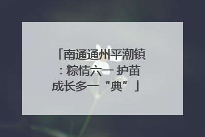 南通通州平潮镇：粽情六一 护苗成长多一“典”