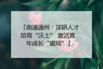 南通通州：深耕人才培育“沃土” 激活青年成长“磁场”