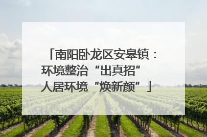 南阳卧龙区安皋镇：环境整治“出真招” 人居环境“焕新颜”
