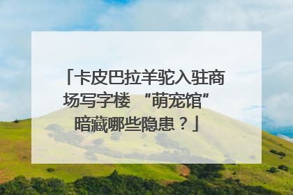 卡皮巴拉羊驼入驻商场写字楼 “萌宠馆”暗藏哪些隐患？