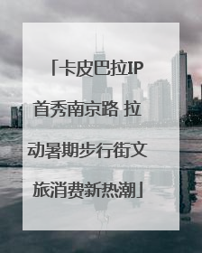卡皮巴拉IP首秀南京路 拉动暑期步行街文旅消费新热潮