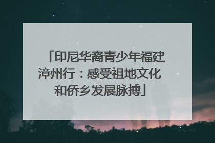 印尼华裔青少年福建漳州行：感受祖地文化和侨乡发展脉搏