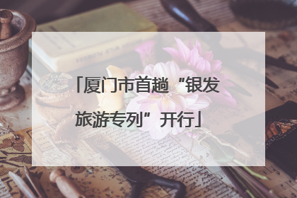 厦门市首趟“银发旅游专列”开行