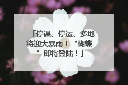 停课、停运、多地将迎大暴雨！“蝴蝶”即将登陆！