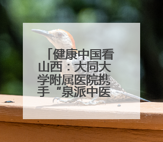 健康中国看山西：大同大学附属医院携手“泉派中医”团队举行中医师承授牌仪式