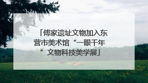 傅家遗址文物加入东营市美术馆“一眼千年”文物科技美学展