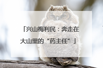 兴山梅利民：奔走在大山里的“药主任”