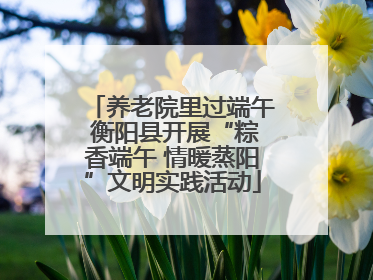 养老院里过端午 衡阳县开展“粽香端午 情暖蒸阳”文明实践活动