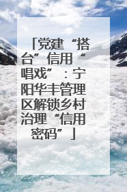 党建“搭台”信用“唱戏”：宁阳华丰管理区解锁乡村治理“信用密码”