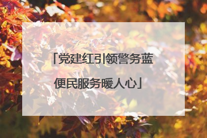 党建红引领警务蓝 便民服务暖人心