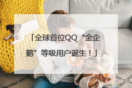 全球首位QQ“金企鹅”等级用户诞生！