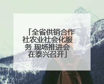 全省供销合作社农业社会化服务 现场推进会在泰兴召开