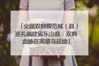 全国双拥模范城（县）巡礼福建省东山县：双拥血脉在英雄岛延续