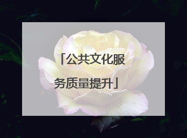 公共文化服务质量提升