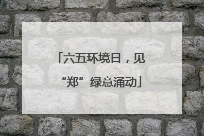 六五环境日，见“郑”绿意涌动