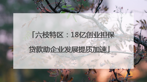 六枝特区：18亿创业担保贷款助企业发展提质加速