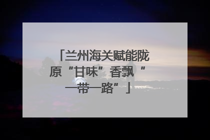 兰州海关赋能陇原“甘味”香飘“一带一路”